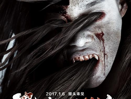 宮崎国際大学会计文凭证书